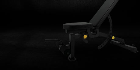 Stands & Benches